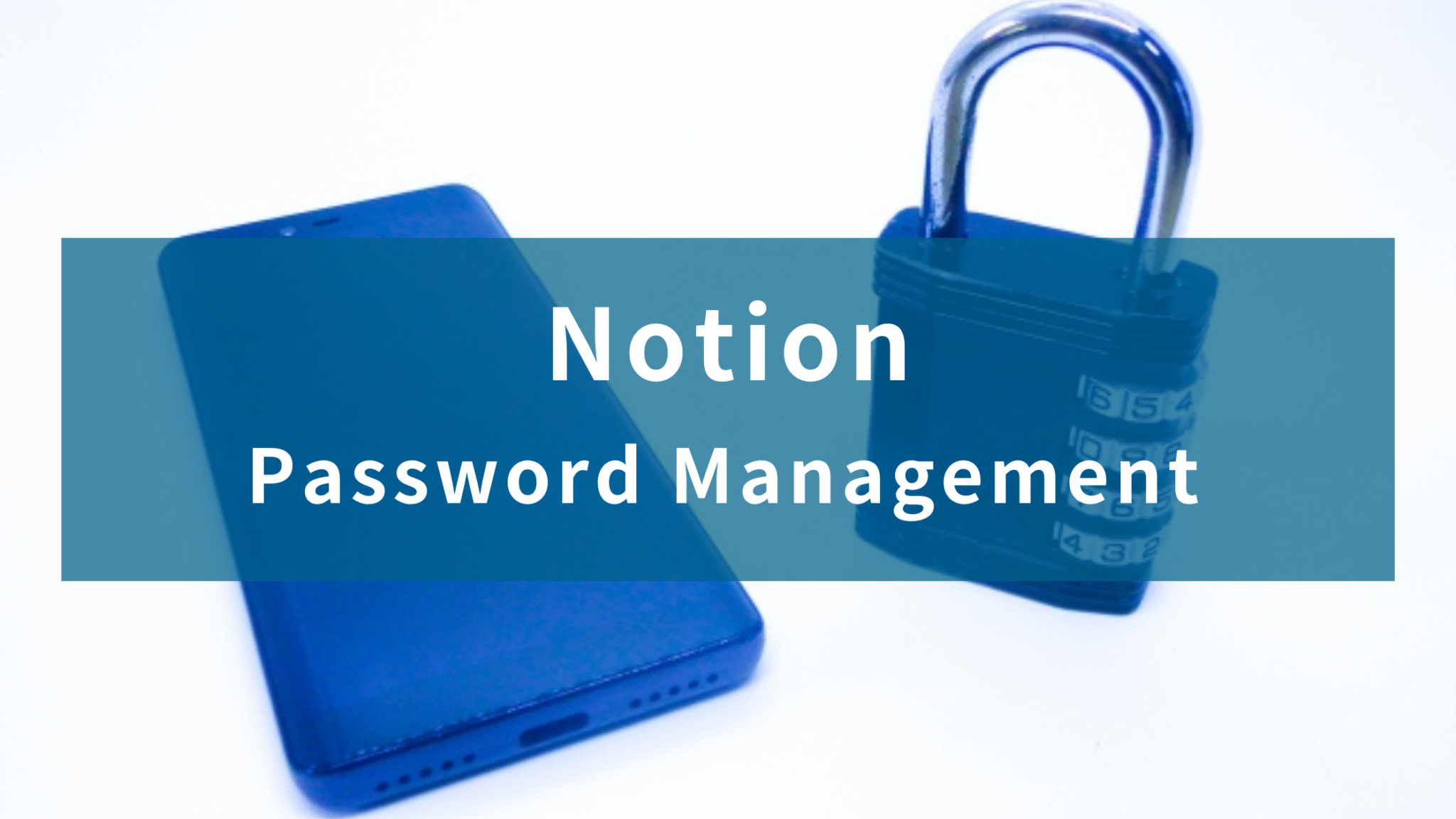 how-to-manage-your-passwords-with-notion-password-encryption