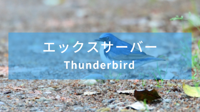 【エックスサーバー】メールクライアントの設定【Thunderbird】